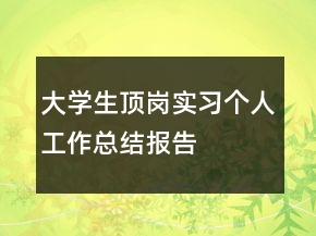 大学生顶岗实习个人工作总结报告