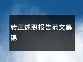 转正述职报告范文集锦