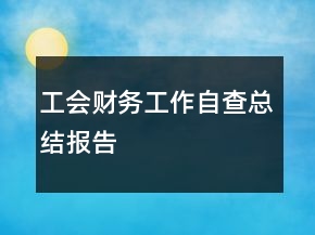 工会财务工作自查总结报告