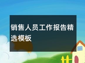 销售人员工作报告精选模板