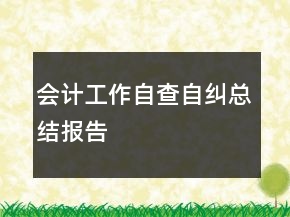 会计工作自查自纠总结报告