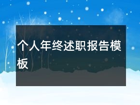 个人年终述职报告模板