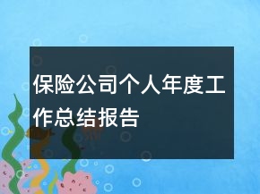 保险公司个人年度工作总结报告