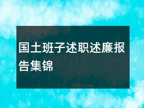 国土班子述职述廉报告集锦