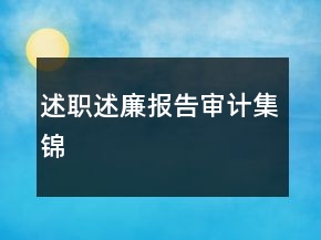 述职述廉报告审计集锦