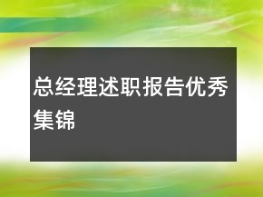 总经理述职报告优秀集锦