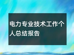 电力专业技术工作个人总结报告