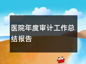 医院年度审计工作总结报告
