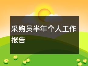 采购员半年个人工作报告