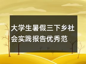 大学生暑假三下乡社会实践报告优秀范文