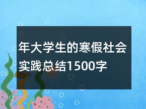 年大学生的寒假社会实践总结1500字