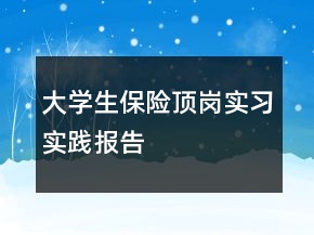 大学生保险顶岗实习实践报告