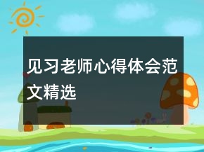 见习老师心得体会范文精选