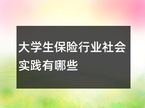 大学生保险行业社会实践有哪些