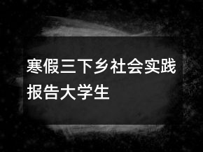 寒假三下乡社会实践报告大学生