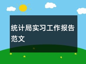 统计局实习工作报告范文
