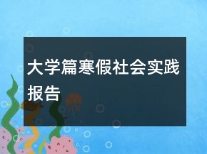 大学篇寒假社会实践报告