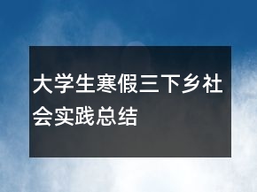 大学生寒假三下乡社会实践总结