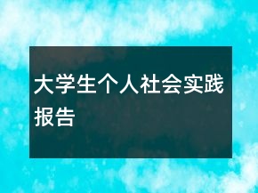 大学生个人社会实践报告