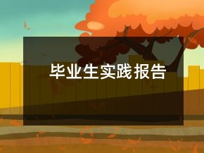 毕业生实践报告