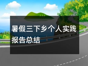 暑假三下乡个人实践报告总结