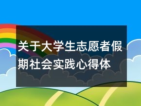 关于大学生志愿者假期社会实践心得体会