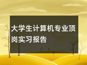 大学生计算机专业顶岗实习报告