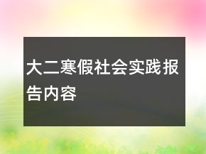 大二寒假社会实践报告内容