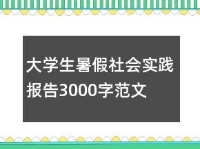 大学生暑假社会实践报告3000字范文