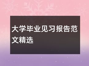 大学毕业见习报告范文精选