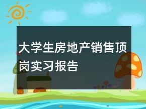 大学生房地产销售顶岗实习报告