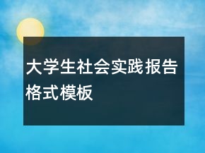 大学生社会实践报告格式模板