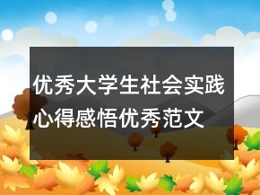 优秀大学生社会实践心得感悟优秀范文最新