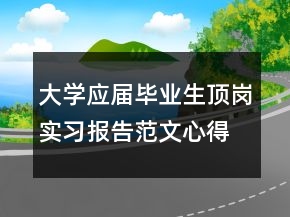 大学应届毕业生顶岗实习报告范文心得