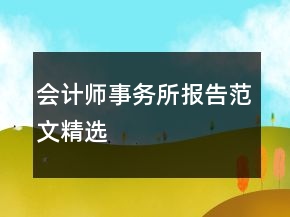 会计师事务所报告范文精选