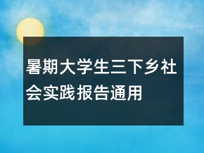 暑期大学生三下乡社会实践报告通用