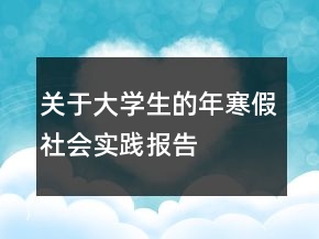 关于大学生的年寒假社会实践报告