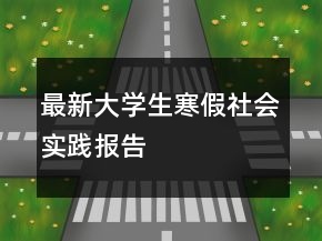 最新大学生寒假社会实践报告