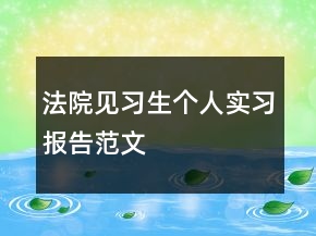 法院见习生个人实习报告范文