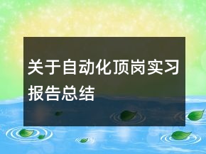 关于自动化顶岗实习报告总结