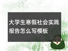 大学生寒假社会实践报告怎么写模板