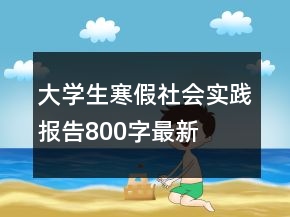 大学生寒假社会实践报告800字最新