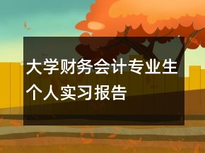 大学财务会计专业生个人实习报告