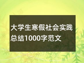 大学生寒假社会实践总结1000字范文