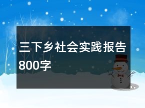 三下乡社会实践报告800字