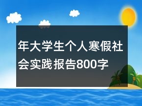 年大学生个人寒假社会实践报告800字