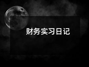 财务实习日记