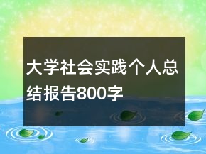 大学社会实践个人总结报告800字