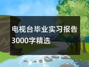 电视台毕业实习报告3000字精选