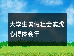 大学生暑假社会实践心得体会年